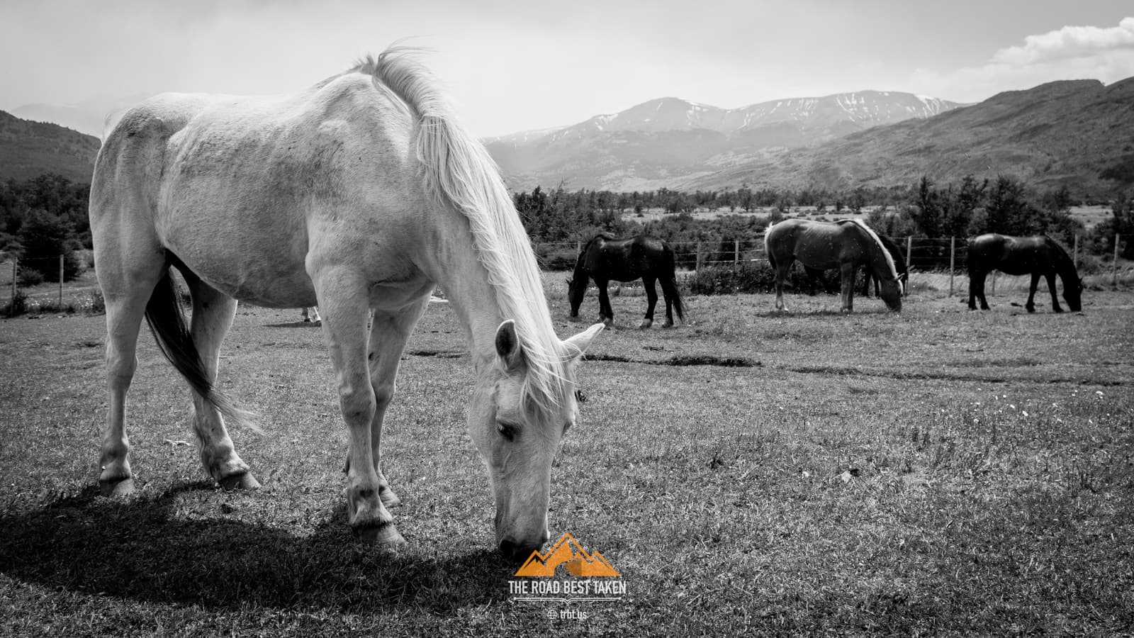Torres del Paine, Patagonia #4 - 